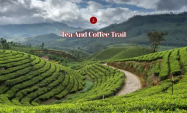 Tea And Coffee Trail