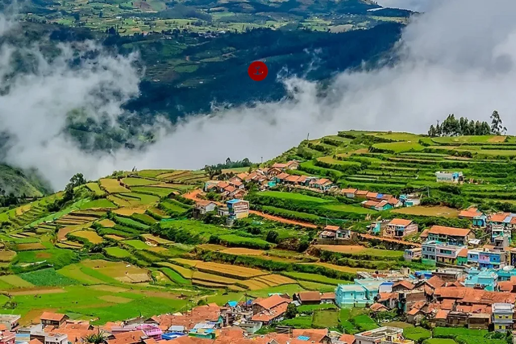 Ooty