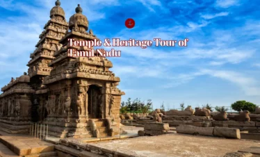 Temple & Heritage Tour of Tamil Nadu