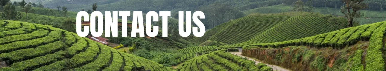 Contact South India Tour Operator